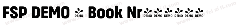 FSP DEMO - Book Nr字体转换